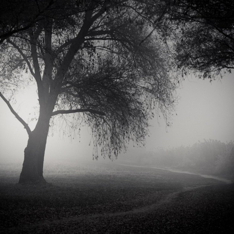 Черно-белые пейзажные фотографии Золтана Бекефи