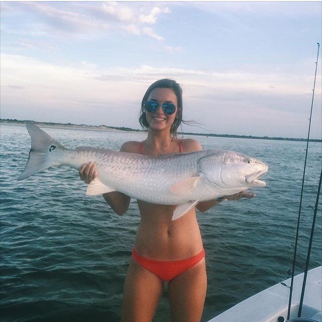   Instagram: fishbras