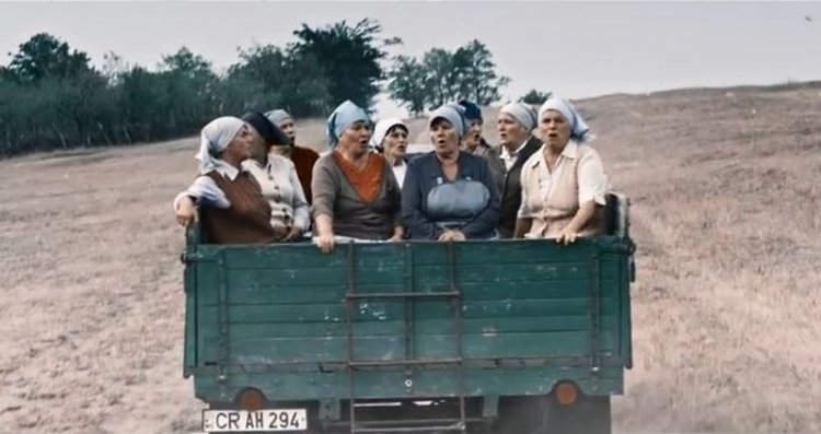 Молдавские фермеры взорвали интернет (видео)